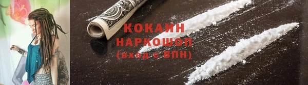ГАЛЛЮЦИНОГЕННЫЕ ГРИБЫ Ельня