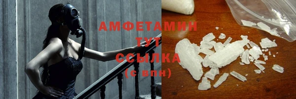 ГАЛЛЮЦИНОГЕННЫЕ ГРИБЫ Ельня