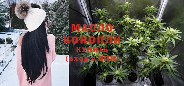 ГАЛЛЮЦИНОГЕННЫЕ ГРИБЫ Ельня