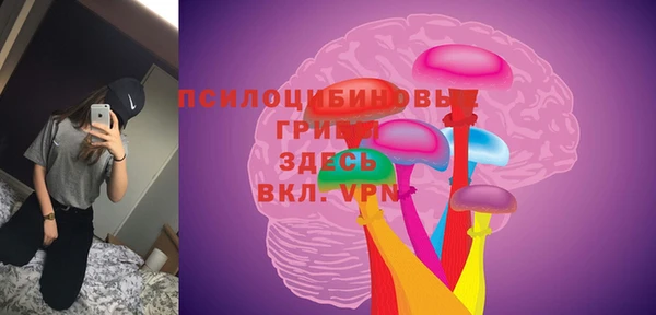ГАЛЛЮЦИНОГЕННЫЕ ГРИБЫ Ельня