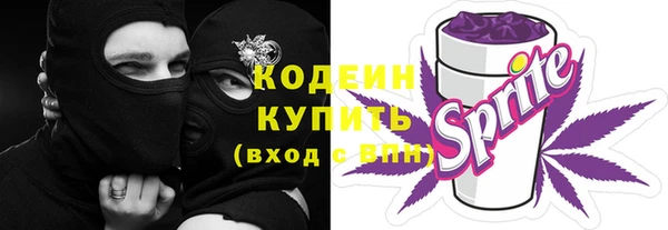 ГАЛЛЮЦИНОГЕННЫЕ ГРИБЫ Ельня
