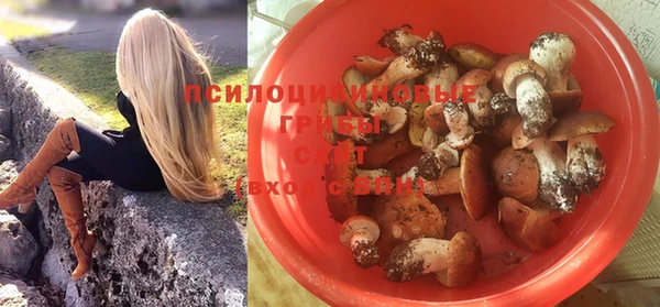 ГАЛЛЮЦИНОГЕННЫЕ ГРИБЫ Ельня
