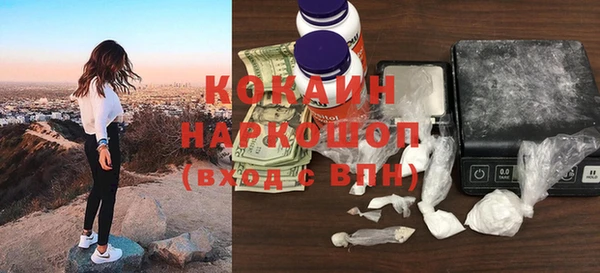 ГАЛЛЮЦИНОГЕННЫЕ ГРИБЫ Ельня