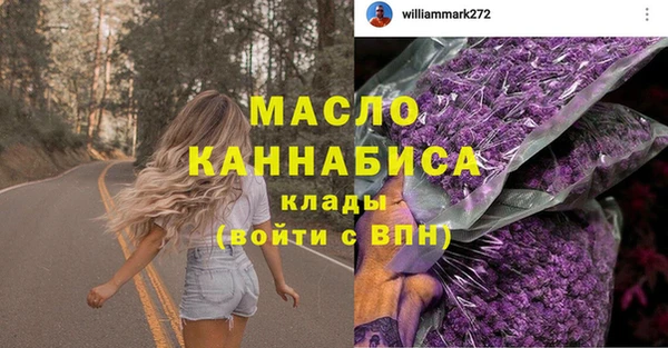 ГАЛЛЮЦИНОГЕННЫЕ ГРИБЫ Ельня