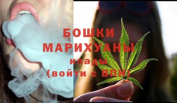 ГАЛЛЮЦИНОГЕННЫЕ ГРИБЫ Ельня