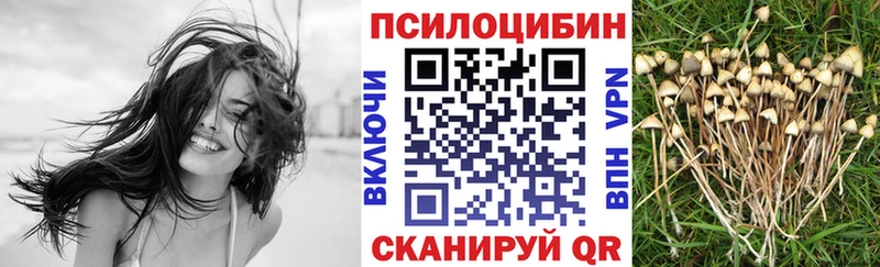 где найти   Южа  Псилоцибиновые грибы GOLDEN TEACHER 