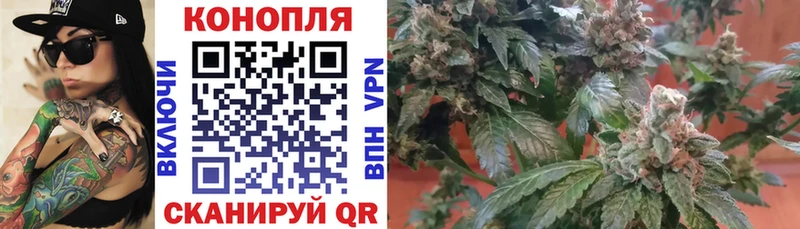 Бошки марихуана THC 21%  купить  цена  Южа 